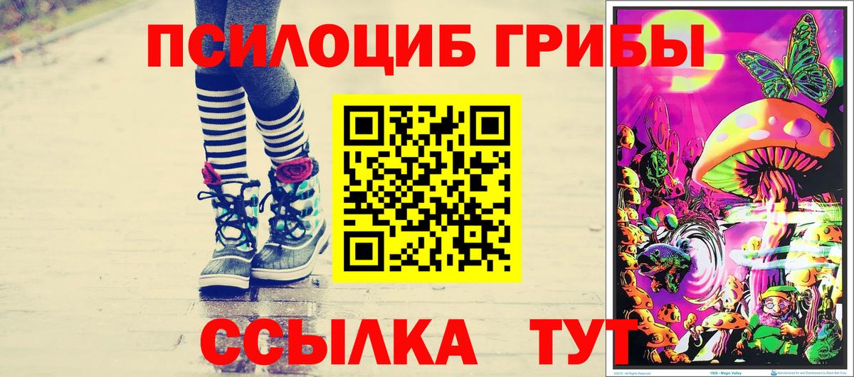 где продают   Псилоцибиновые грибы Psilocybine cubensis  Шарыпово  Вход с VPN  Псилоцибиновые грибы Magic Shrooms 