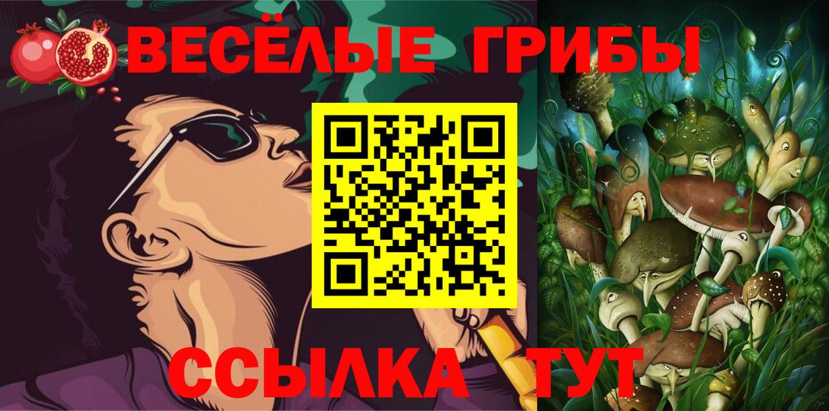 Псилоцибиновые грибы Psilocybine cubensis Шарыпово